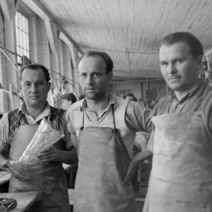 Salgótarjáni üveggyár- 1950 (Forrás: Fortepan/iMRe)

